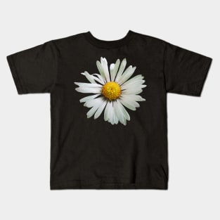 white daisy flower, blooming daisy, blooms, flowers, daisies Kids T-Shirt